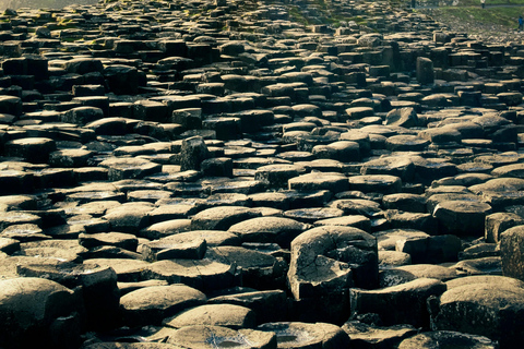 Belfast Giants Causeway, Bushmills, and Kids Go Free!