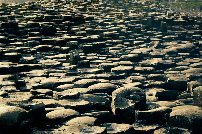 Belfast Giants Causeway, Bushmills, and Kids Go Free!