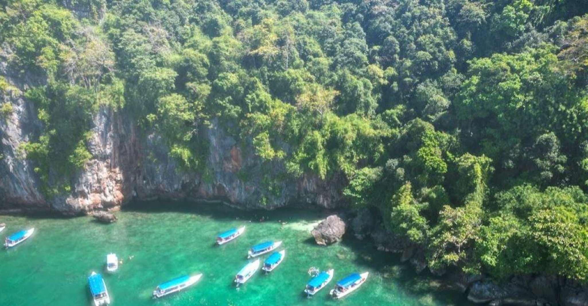 Mangrovetour à Langkawi, estimation de 4 heures (privée) - Hizvo