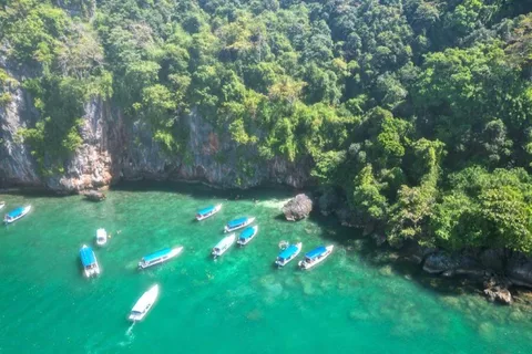 Langkawi: Half-Day Private Kilim River Mangrove Boat Tour