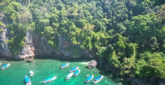 Langkawi: Half-Day Private Kilim River Mangrove Boat Tour