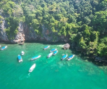 Langkawi: Half-Day Private Kilim River Mangrove Boat Tour