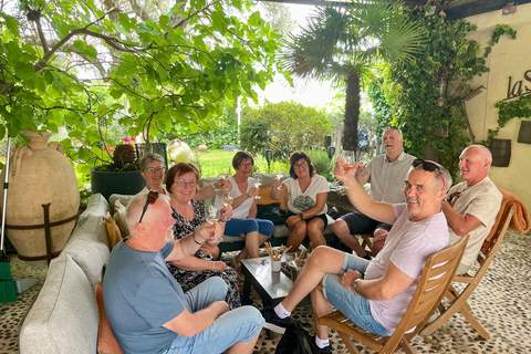 From Nice: Half-Day Wine Tour in the Bellet Wine Region