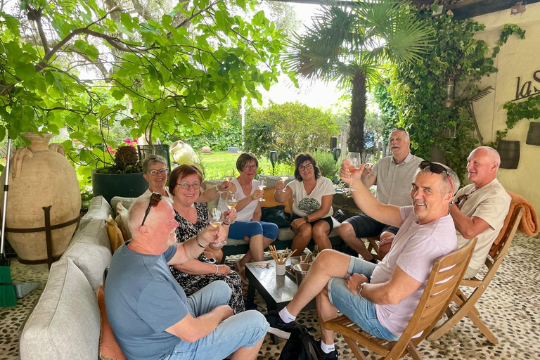 From Nice: Half-Day Wine Tour in the Bellet Wine Region