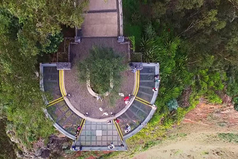 Ruta del Vino de Medio Día en Grupo Reducido por Madeira