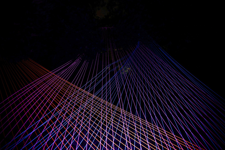 Porto: Serralves Em Luz Immersive Light Show Entry Ticket