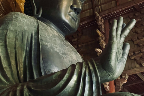[Deer & Samurai History] Nara Guided Walking Tour+Photoshoot 3 Hours Walking Tour + Photo Service (small-group max. 6)