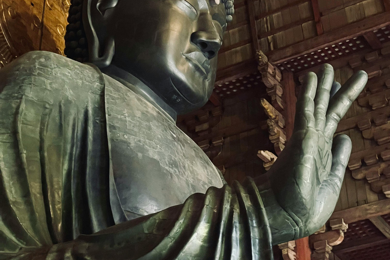 [Deer & Samurai History] Nara Guided Walking Tour+Photoshoot 3 Hours Walking Tour + Photo Service (small-group max. 6)