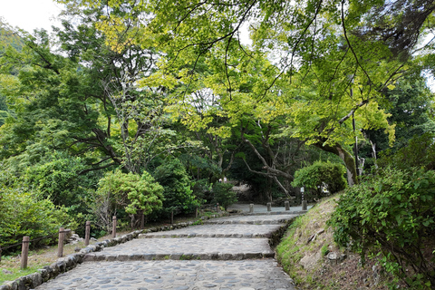 Kyoto: Arashiyama Highlights & Hozu River Boat Private Tour Private Tour (Pay Boat Cruise & Tickets on Site)