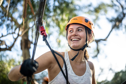 Adelaide: TreeClimb Adventure