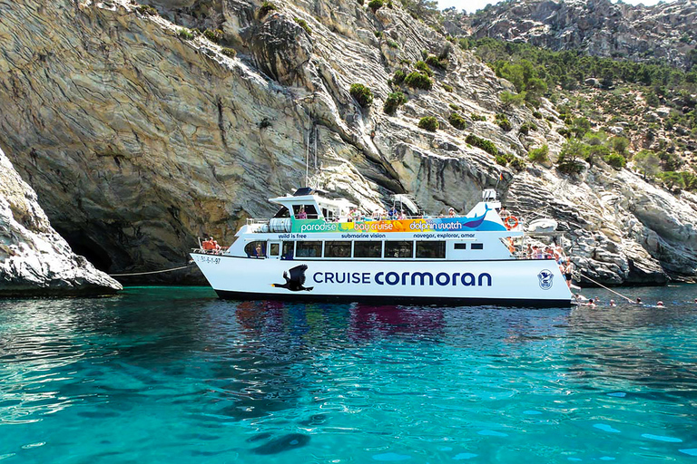 Majorque : Croisière d&#039;observation des dauphinsPaguera : rendez-vous à Playa Tora