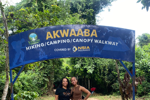 Kakum National Park & Elimina & Cape Coast Castle Day Tour