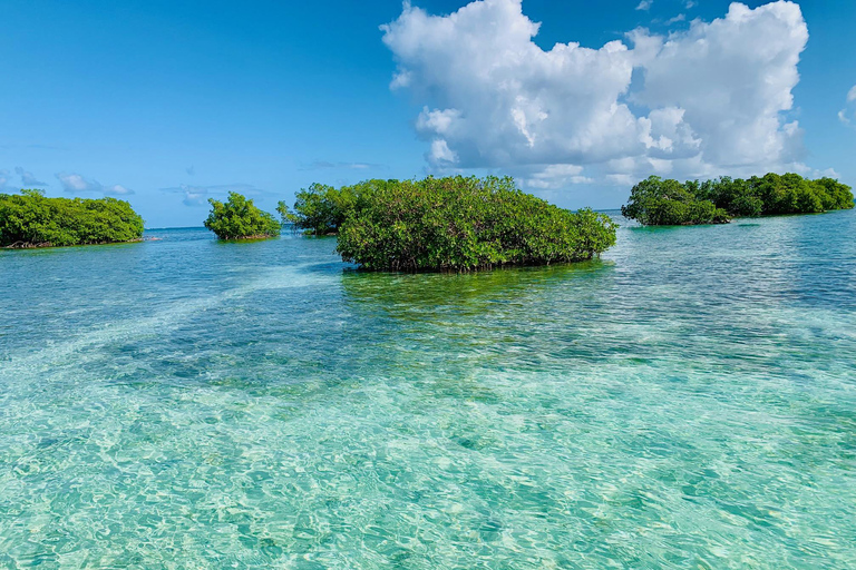 Guadeloupe: Guided Sea Excursion - Discover the Grand Cul-de-Sac Marin 4-hour guided tour - Discover the treasures of the Lagoon - islets, shipwreck, mangrove