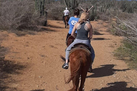 Tour a cavallo di Aruba per la Laguna NascostaTour a cavallo di Aruba alla Laguna Nascosta