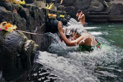 Ubud: Monkey Forest, Rice Terrace ticket included