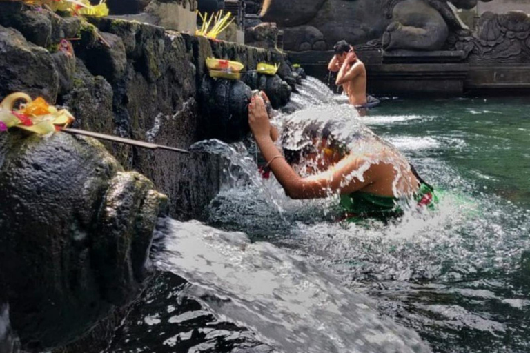 Ubud: Monkey Forest, Rice Terrace ticket included