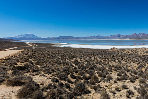 Tour of Salinas and Yanaorco lagoons + Lojen thermal baths