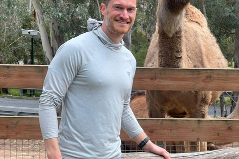 Vanuit Adelaide: Knuffel een Koala en historische Hahndorf Tour