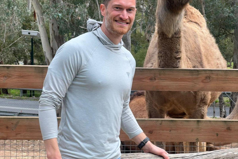 Desde Adelaida: Abraza a un Koala y Visita Histórica a Hahndorf