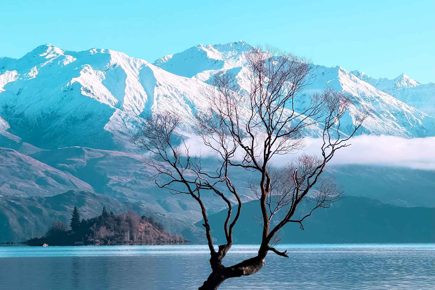 Wanaka Private Tour from Queenstown Scenic Drive and Lakes - Wanaka Private Tour from Queenstown Scenic Drive and Lakes