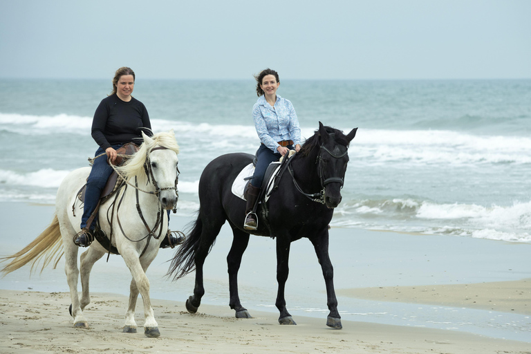 Cape Town: Noordhoek Beach Horseback Ride With Ocean Views