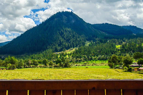 From Cajamarca: Porcón Farm, Vicuñas, and Local Crafts