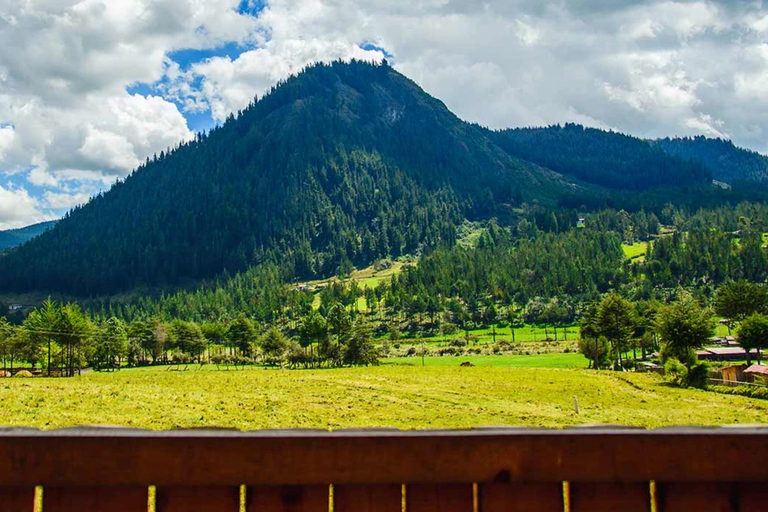From Cajamarca: Porcón Farm, Vicuñas, and Local Crafts
