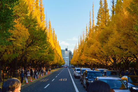 Tokyo: Golden Ginkgo Avenue Autumn Leaves Walk