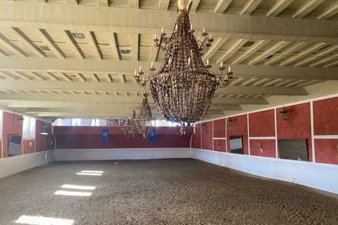 from Mijas, Malaga: Private tour Ronda incl. transfer, bullfighting arena and tapas