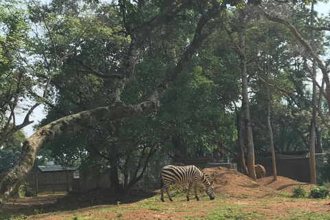 ENTEBBE HEART OF WALKING ADVENTURE