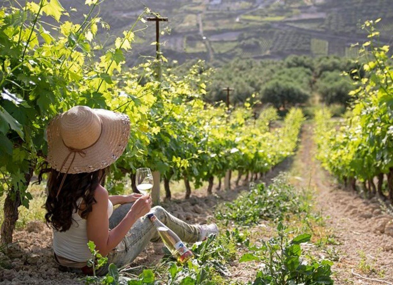 HERAKLION: Vinsmagning på Douloufakis Vineyards ARISMARI