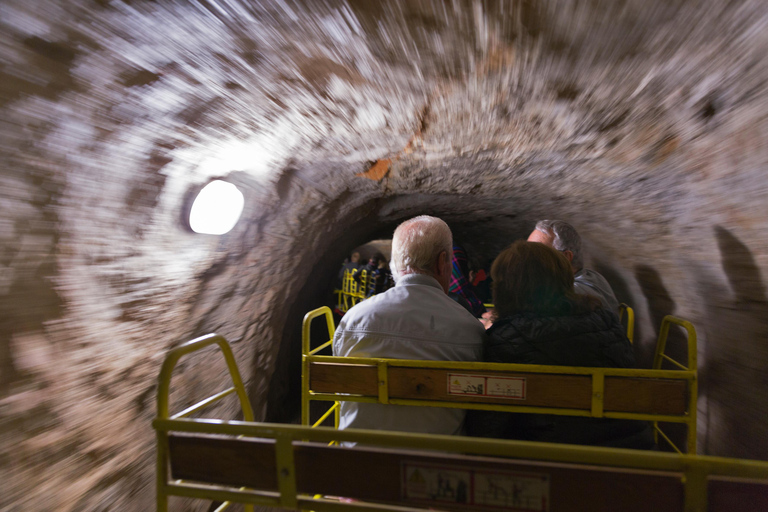 Maribor: Postojna Cave and Predjama Castle Day Private Tour