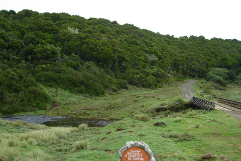 Entdecke Aberdare: Big 5, Wasserfälle und Camping in der Wildnis