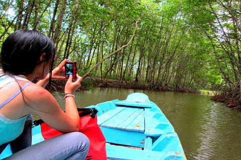 Depuis Ho Chi Minh : Visite guidée Premium de l&#039;île aux singes de Can Gio