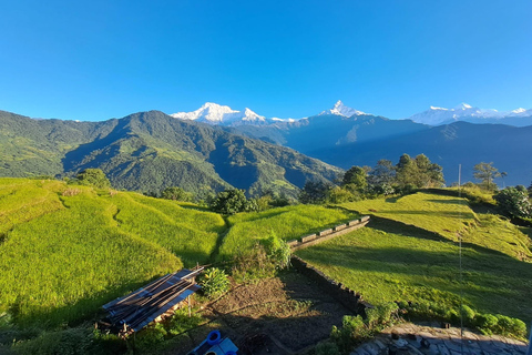 Pokhara: Acampamento australiano e grupo da vila de Dhampus participam da caminhadaPokhara: Caminhada de um dia em grupo Acampamento australiano e Dhampus