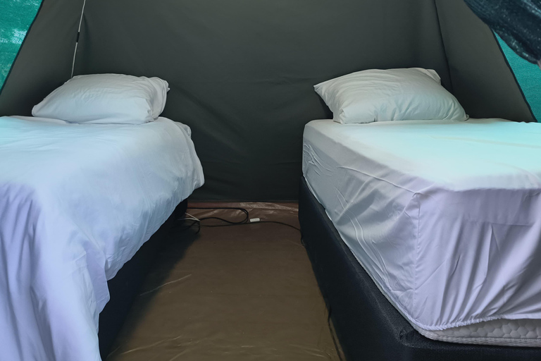 3-tägige Tlou-Zelt-Safari in Pilanesberg3-tägige Tlou-Zelt-Safari im Pilanesberg