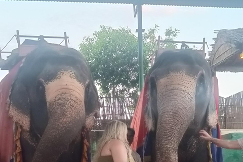 3-Day Luxury Golden Triangle Tour Agra & Jaipur From Delhi Tour without hotel accommodation