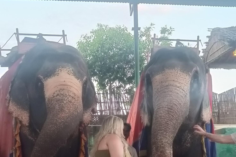 3-Day Luxury Golden Triangle Tour Agra & Jaipur From Delhi Tour without hotel accommodation