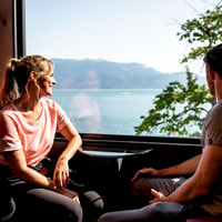 Swiss Half Fare Card - Housity