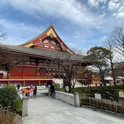 Tokyo: Old and New City Guided Sightseeing Tour