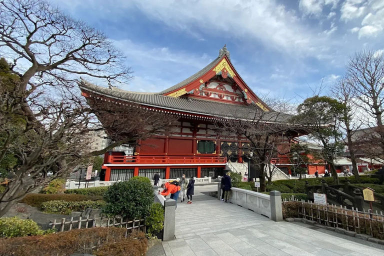 Tokyo : Visite guidée de la ville ancienne et de la ville moderneTokyo : visite guidée d'une demi-journée de la ville