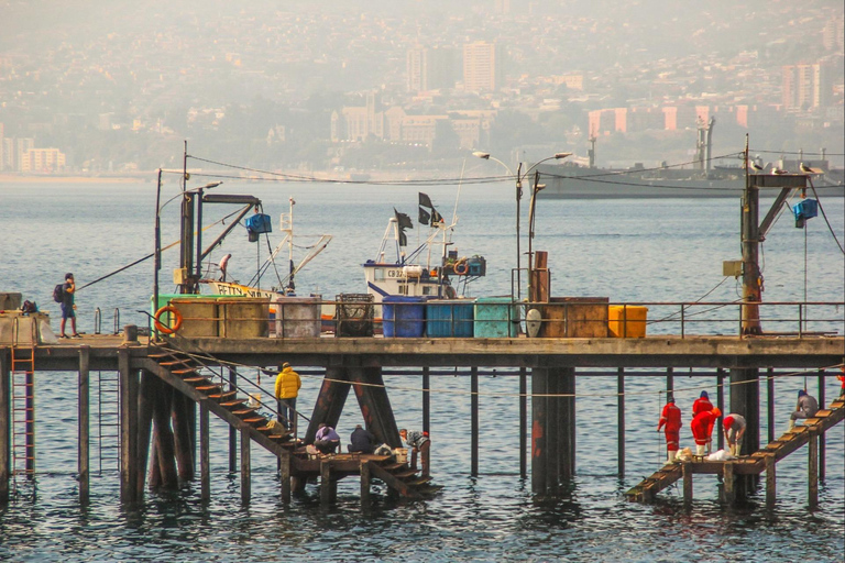 Discover Valparaiso, visit the Garden City, and enjoy wine tasting in Casablanca Get to know Valparaiso, visit the Garden City, and enjoy a wine tasting in Casablanca