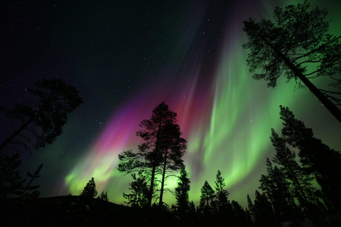 Rovaniemi : Spedizione privata di mezzanotte con l&#039;Aurora Boreale