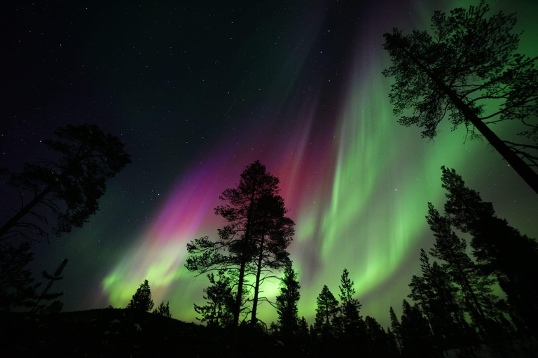 Rovaniemi: expedição particular à Aurora Boreal à meia-noite