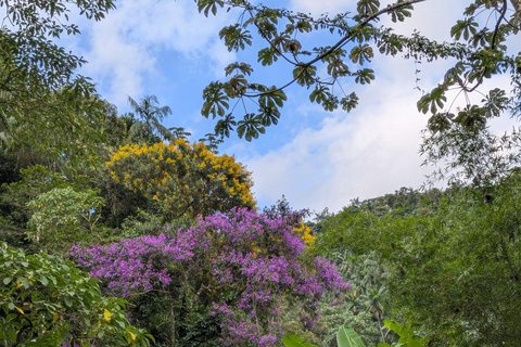 Teresópolis : circuit découverte de la faune de la forêt atlantiqueTeresópolis : Excursion à la découverte de la faune de la forêt atlantique
