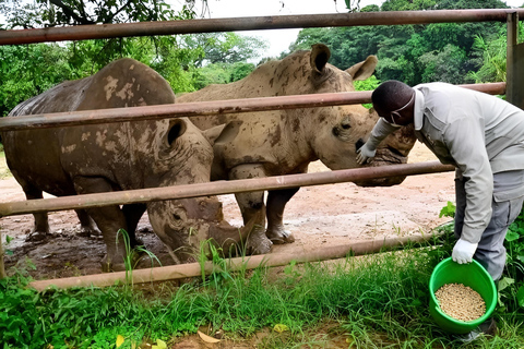 Entebbe : Visita ao Jardim Zoológico e ao Jardim Botânico de Entebbe