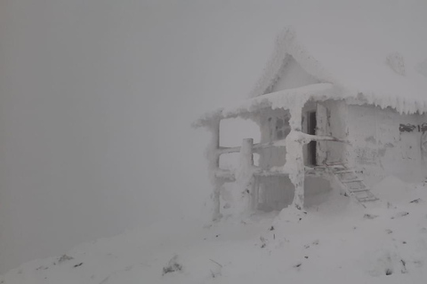 Levi: Snöskovandring: Tomtens stuga och picknick i natursköna omgivningar