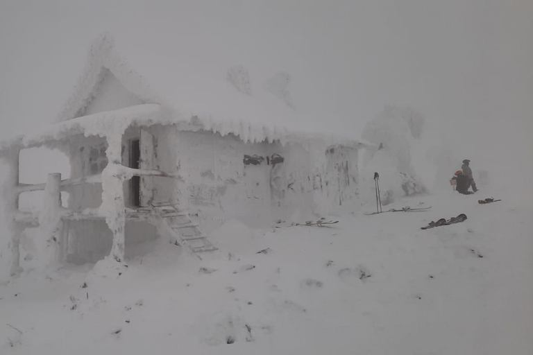 Levi: Snöskovandring: Tomtens stuga och picknick i natursköna omgivningar