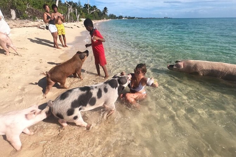 Swim with Pigs, Turtles & Snorkel. Lunch, Drinks transfers