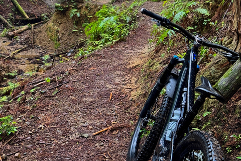 Osaka E MTB Trail Ride: Katsuo-ji Temple & Pilgrim Trails Advanced E-MTB Trail Experience Katuo-ji temple